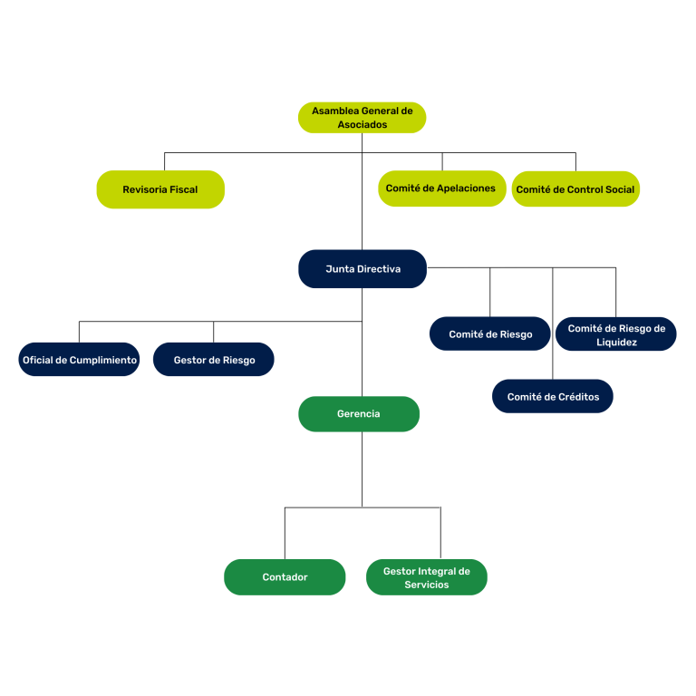 organigrama_general_fondecar
